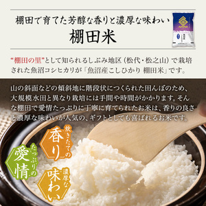 【令和7年産米】魚沼産こしひかり 棚田米(十日町地域) 精米 5kg 6月配送 お米 精米 こめ ご飯 白米 旧：五郎兵衛