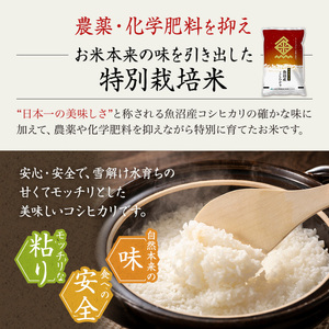 【令和7年産米】特別栽培米 魚沼産こしひかり(十日町地域) 精米 2kg 6月配送 お米 精米 こめ ご飯 白米 特別栽培  旧：五郎兵衛