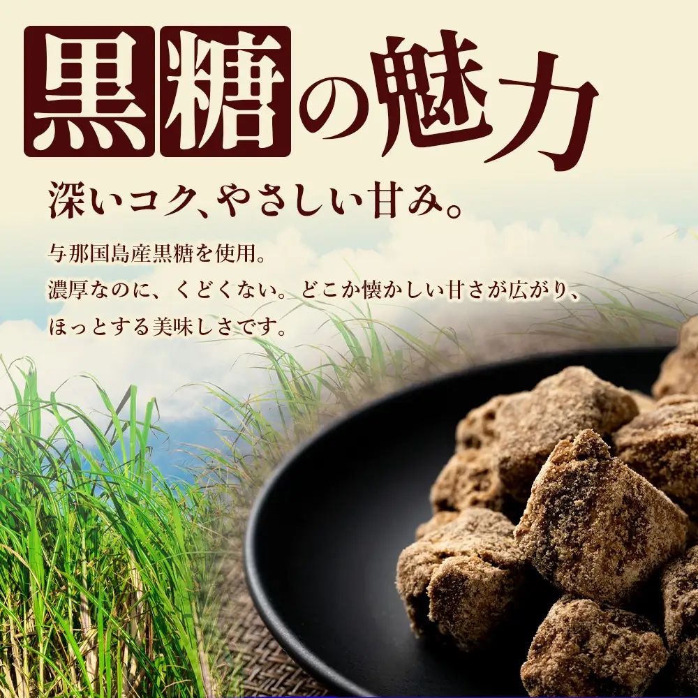 与那国島 塩黒糖（100g）×3袋 A005｜沖縄県 与那国町 塩 海塩 黒糖 スィーツ