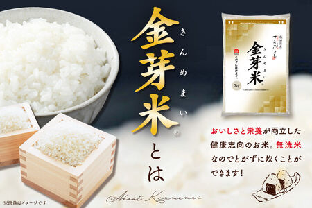 【令和7年産 白米】金芽米 サキホコレ 10kg（5kg×2袋） 玄米の栄養を残した白米 とがずに簡単炊飯 きんめまい