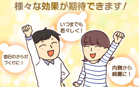 【全12回定期便】えごま油 2本セット 国産 生絞り 95g 大玉村 福島県 ごま油 | 01122-t12