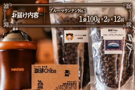 【12回定期便】 コーヒー豆 ブルーマウンテン 100g 2パック [珈琲Chiba 福岡県 筑紫野市 21761423]