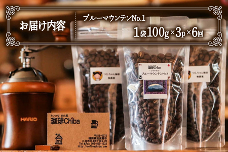 【6回定期便】 コーヒー豆 ブルーマウンテン 100g 3パック [珈琲Chiba 福岡県 筑紫野市 21761421]