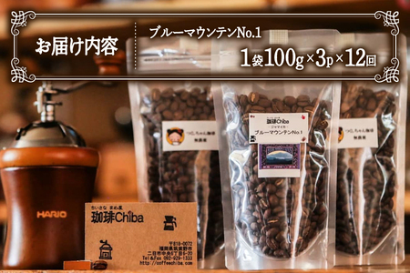 【12回定期便】 コーヒー豆 ブルーマウンテン 100g 3パック [珈琲Chiba 福岡県 筑紫野市 21761420]