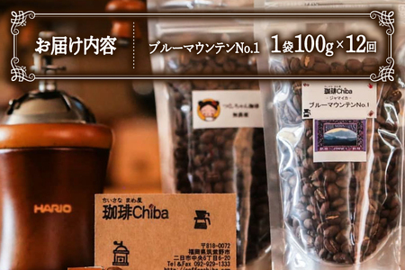 【12回定期便】 コーヒー豆 ブルーマウンテン 100g [珈琲Chiba 福岡県 筑紫野市 21761426]