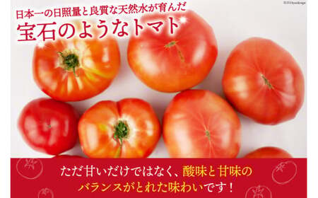 【2026年発送】秋作 トマト 桃太郎 約1kg [ヨダファーム 山梨県 中央市 21470962] とまと tomato 野菜 やさい 1キロ 季節限定 期間限定 産地直送 山梨県産【2026年10月下旬-12月下旬発送予定】