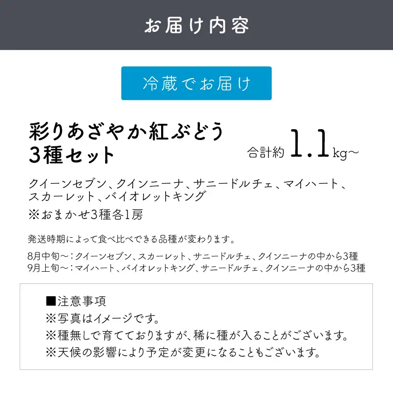 泉州ぶどう 彩りあざやか紅ぶどう 3種セット【065C-005】