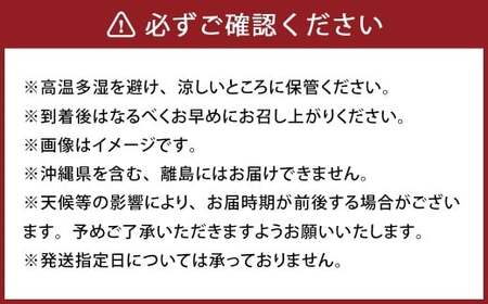 パクパクデコ 10kg バラ詰め 訳あり（B品） 不知火 果物 くだもの フルーツ【2026年2月下旬-6月下旬発送】