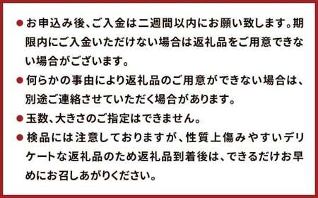 農家の休憩デコ 訳あり（C品 7kg） 果物 くだもの フルーツ 柑橘【2026年2月下旬-6月下旬発送】
