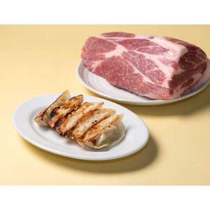 【瞬間生冷凍】スパイスと黒豚餃子 50個×2セット      
