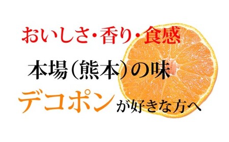 デコポン I12光センサー選果 約2kg （5～10玉） 【2026年12月上旬～2027年5月下旬発送予定】 でこぽん 蜜柑 みかん 果物 果実 フルーツ 熊本県 熊本市 常温