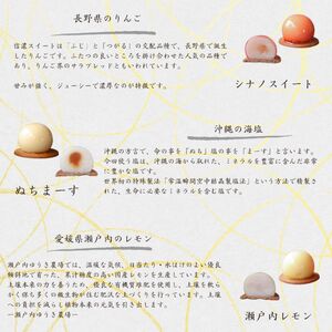 厳選 素材 の あんこ 玉 9種 | スイーツ お菓子 和菓子 餡子 あんこ フルーツ 果物 おやつ ご褒美 長野県 飯田市
