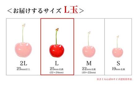 さくらんぼ 佐藤錦 300g L玉 秀品 1パック バラ詰め 山形県産 化粧箱入り 【令和8年度 先行予約】 FSY-2790
