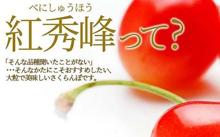 さくらんぼ 紅秀峰 300g 2L玉 秀品 1パック バラ詰め 山形県産 化粧箱入り 【令和8年度 先行予約】 FSY-2791