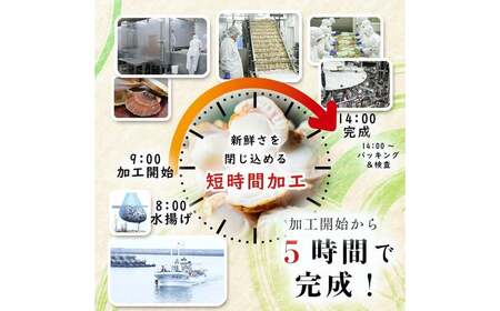 青森県産 冷凍ベビー帆立 (大)  1kg 【ハケタ水産】 大粒 ホタテ ほたて 帆立 人気 ボイル ベビーホタテ 貝柱 貝 おつまみ 酒の肴 魚介類 魚介 海鮮 海鮮食品 グルメ 食品 ギフト 冷凍 青森県 平内町 東北 むつ湾 陸奥湾 おすすめ  F21J-212