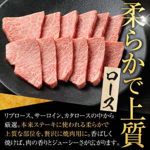 『下村牛』焼肉2種食べ比べセット_C 500g