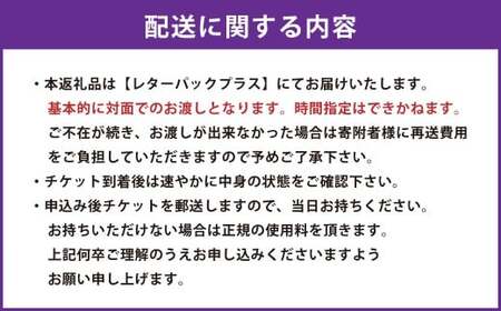 グランドピアノ 「 FAZIOLI （ ファツィオリ ）」 平日 3時間 弾き放題 1回分 ピアノ 演奏 ファツィオリピアノ 演奏体験 体験 チケット 体験チケット 利用券 券 貸切