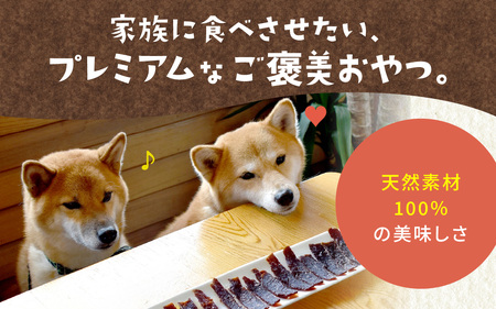 能登 いのしし ジビエジャーキー  20g × 3袋 計60g （ペット用）|  ジャーキー ジビエ
