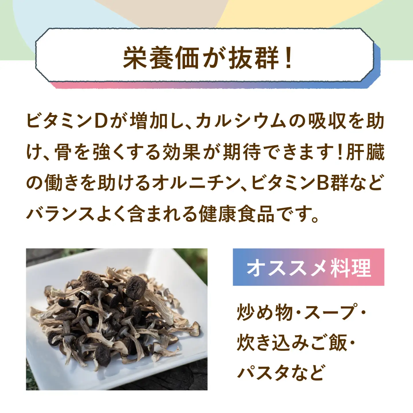  ＼ ドライぶなしめじ ／ 20g　1袋 （Bz-001）きのこ