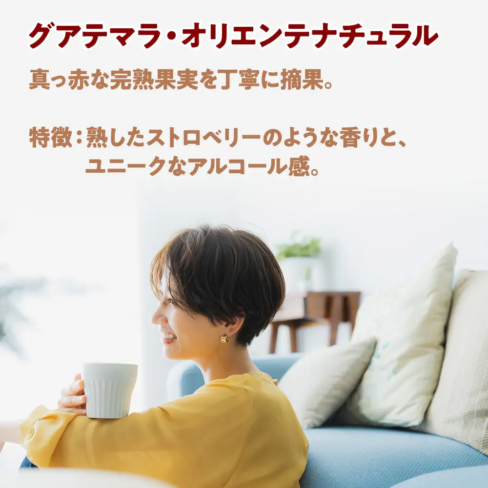 自家焙煎珈琲　ドリップバッグコーヒー グアテマラ・オリエンテナチュラル 6袋《中煎り》