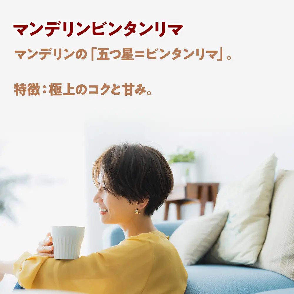 自家焙煎珈琲　ドリップバッグコーヒー インドネシア・マンデリンビンタンリマ 6袋