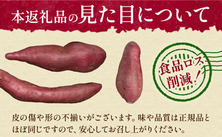 【先行予約】訳あり さつまいも 約5kg 日本フルーツ株式会社《2026年10月上旬-11月中旬頃出荷》熊本県 菊池市 さつまいも サツマイモ 訳あり 熊本県産