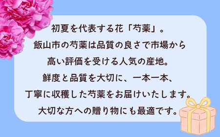 芍薬 切花 〜華燭の典〜 24本セット【2026年5月上旬より出荷】(Ca-002) 