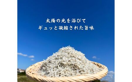 ほんまにうまい 明石前浜セット 魚貝類 タコ ちりめん 