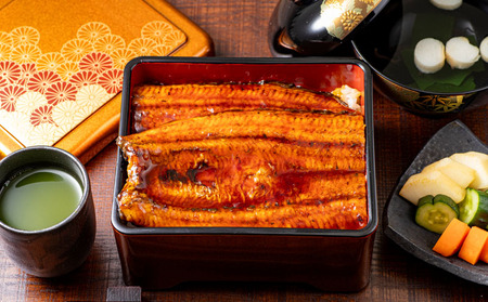 【 土用の丑の日特集 】 鹿児島産 超特大 うなぎ 蒲焼 240g×3尾 KN021-042-03 鰻 ウナギ 冷凍