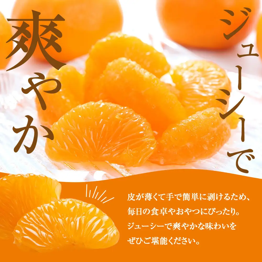 訳あり 蔵出しみかん 約10kg 2S～2Lサイズ混合