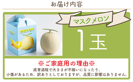 【2026年11月発送】マスクメロン&柑橘2種セット yr-0111