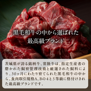 【数量限定】 牛丼の具 10袋｜牛丼 お肉 常陸牛 ブランド 贅沢 簡単 茨城県 行方市(CU-322)