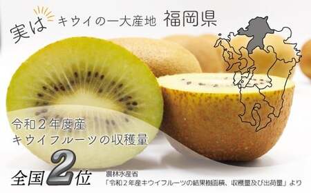 福岡県ブランドキウイフルーツ「 博多甘うぃ 」 化粧箱 大玉 9玉 約1.4kg 【2026年11月上旬～11月下旬発送予定】