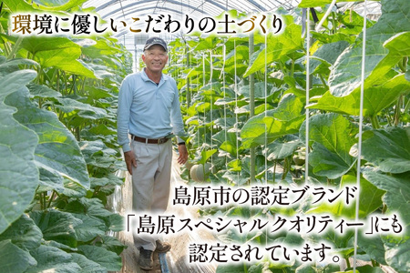 AJ652 【令和8年7-8月出荷分】 堀農園 マスクメロン 2玉 特選 大玉 桐箱