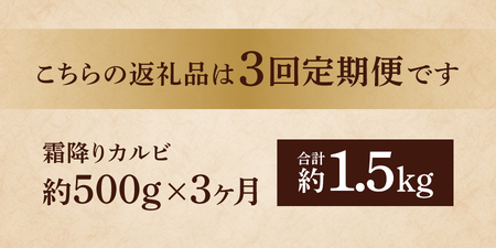 牛肉【3ヶ月お届け】山梨県産 富士山麓牛 霜降りカルビ 500g 定期便