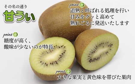 博多甘うぃ （キウイフルーツ） 約3.6kg 【2026年11月上旬～11月下旬発送予定】 キウイ 果物 フルーツ 九州 福岡県 香春町 冷蔵