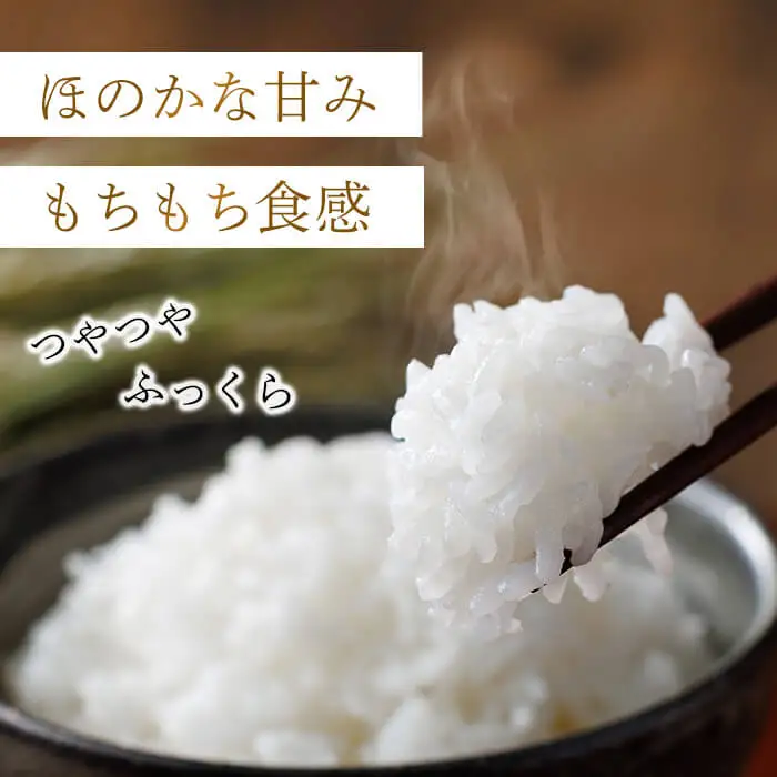 ＜数量限定＞夢つくし  (10kg)お米 米 精白米  国産 福岡県産 ブランド米  10kg   常温＜北海道・沖縄・離島配送不可＞ 【ksg1874】