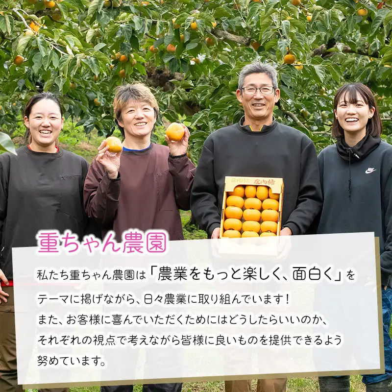 【令和8年産先行予約】家庭用庄内柿 たねなし柿 平核無柿 脱渋済み 約2kg（12～18玉）　山形県鶴岡市　重ちゃん農園