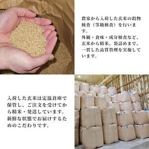 サキホコレ5kg　秋田県産特別栽培米　大潟村のお米【令和7年産】精米【配送不可地域：離島・沖縄県】【1708572】