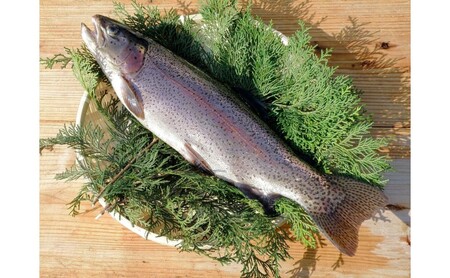 寿司 厳選された群馬の地魚押し寿司 3点セット 魚 さかな
