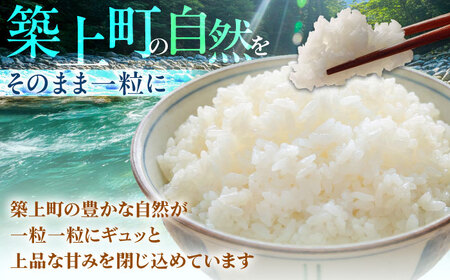 令和7年産 精米 夢つくし 5kg【ナガノノウエン】/築上町[ABEW001]