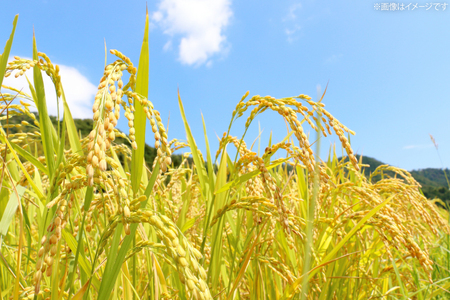 米 令和7年産 富富富 玄米 10kg [アグリ金山 富山県 朝日町 34310578]