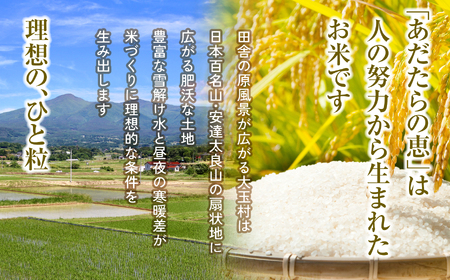 【定期便】大玉村産厳選米「あだたらの恵」　（品種：コシヒカリ）60kg（5kg×12回） | on-ak-5kg-t12-r7