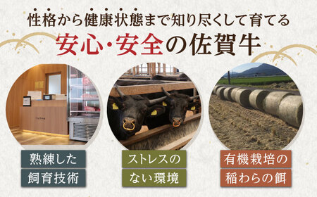 【訳あり】 佐賀牛 焼肉セット 500g 【山下牛舎】[HAD165]