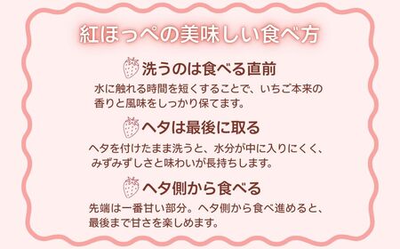 こまつイチゴ 紅ほっぺ 【 3パック（約750g）】苺 べにほっぺ | 石川県 小松市 JAあぐり