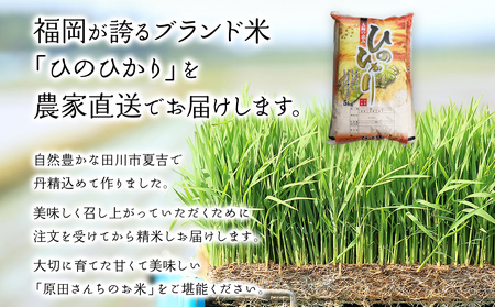 米  「原田さんちのお米」ヒノヒカリ 5kg  米 