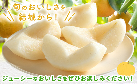 【2026年先行予約】とっくんちの梨 にっこり 約3kg 鈴木農園《9月下旬-10月中旬頃出荷》茨城県 結城市 数量限定 果物 フルーツ 甘み ジューシー 豊か 芳香 しゃりっ 爽やかな 季節【配送不可地域あり】(離島)