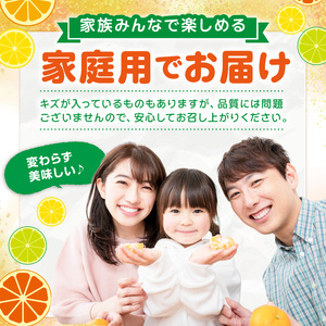 【8070】JAわかやま紀州　柑橘勢ぞろい　セット　7回　定期便