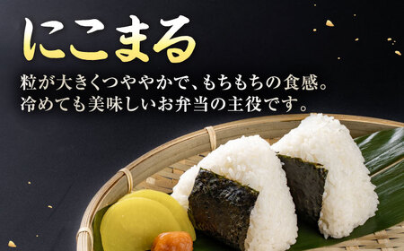 〈令和7年度産米〉 天然の栄養で実った おいしい一粒 レンゲ栽培 にこまる 無洗米 5kg 山鹿 お米 【ひなたのお米と野菜 大嶋】[ZFW003]