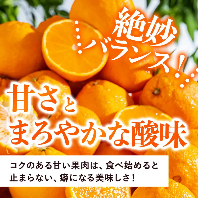 【先行予約】デコタンゴール （1kg）